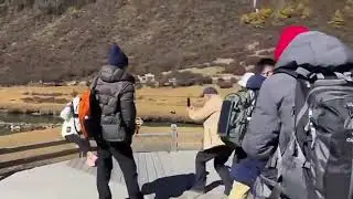 Glory Solar Backpack