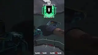 How EVERY RANK Plants in R6