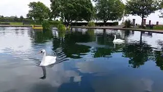 RC homemade swan's with water jets