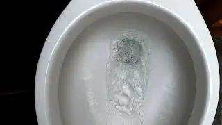 2021 redesigned kohler highline flush tests