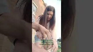 Michigan rock puppies get crackin