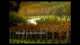 Feature Video Howard Park & MadFish Wines | Margaret River Winery | Great Southern Wine