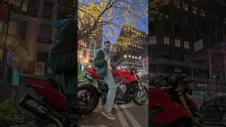 THE GREAT ESCAPE