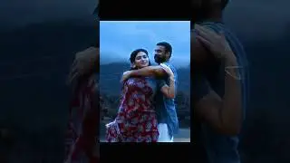 Kaattu Shenbagam | Pallichattamb | Tovino Thomas | Kayadu | Whatsappstatus | Trending | Shorts