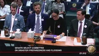 Parents of Camp Mystic flood victims give heartbreaking testimony in Texas Capitol