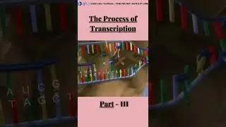 The process of Transcription #biology #ifas #molecular_biology