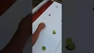 Como construir uma de piscina Floating Hidroponia