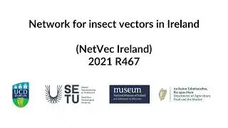 Mosquito larvae sampling protocol