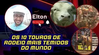 Os 10 touros de rodeio mais temidos do mundo