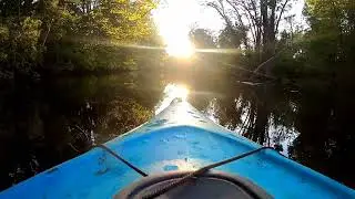 Kayak Adventure on The Ipswich River (shorts 3/4)