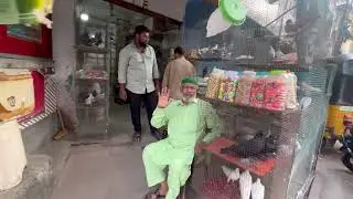 Charminar chok. Muske kabootar khana chicha ki dukan call  9700719200 @Osmanaligoatfarm