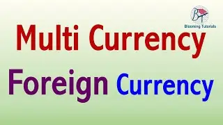 Multi Currency / Foreign Currency