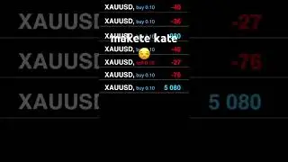 A day in the life of a forex trader forex.funny makete kate