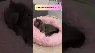 Zexsazone Round Donut Cat Bed (Pink) | Super Soft & Cozy Bed for Cats & Small Pets 🐾