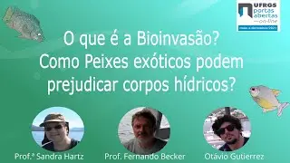 O que &eacute; a Bioinvas&atilde;o? Como peixes ex&oacute;ticos podem prejudicar corpos h&iacute;dricos?
