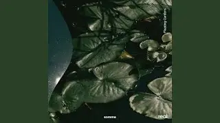 Floating Gardens