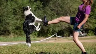Frisbee Freestyle, Throws and Tricks