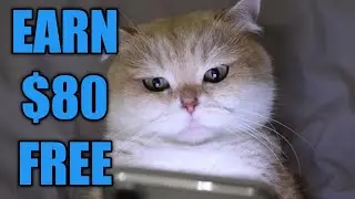 Earn PayPal money/2022/free $80 PayPal money