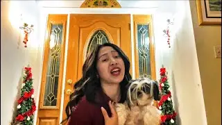 Meghan Elizabeth - Waiting for You This Xmas (Official Music Video)