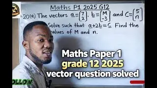 Mathematics paper 1 2025 Grade 12 vector question solved 