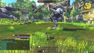 Raiderz - Veilnus