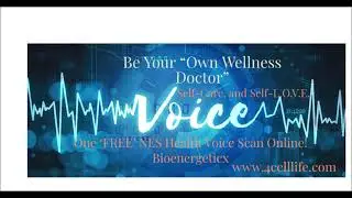 FREE NES HUMAN BODY FIELD BIOENERGETICS CELLULAR WELLNESS SCAN