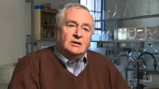 Gut Reaction - Dr David Topping