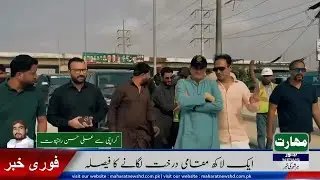 Karachi's BIGGEST Tree Plantation Drive is Changing the City Forever!