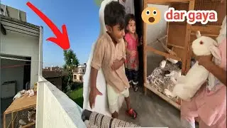 Ham na pigeon 😍ko azad kar diya| Aj bacha Rabbit se dar gaya😂😍|Animal town|pet park