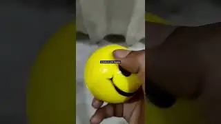Buy 12 Smiley Balls 220 INR