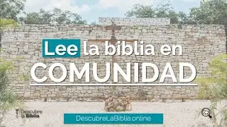 📜 La biblia en comunidad | Génesis 1 - 14