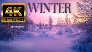 Free No Copyright 4K Winter Snow Forest Sunset Sparkles Glitter Fog Cold Relaxing Screensaver