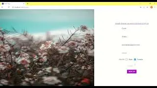 React App  - SignUp and SignIn page with a homepage