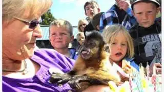 My Name is Ricky (the special needs monkey)