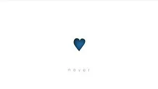 'never' (Audio) [goodbye - EP]