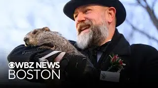 Punxsutawney Phil sees shadow, what is in store for the next 6 weeks?