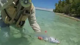 Fly fishing French Polynesia