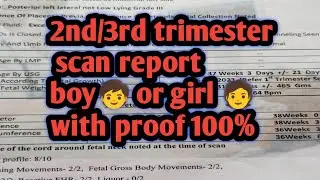 Pregnancy in 2nd and 3rd trimester scan report? #sandhyavlog-yk7zj #viralvideo #pregnancy 