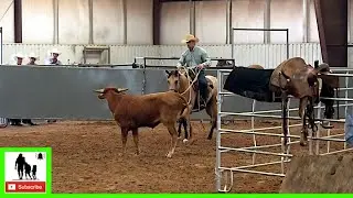 Taylor Coon Final - 2020 Coolhorse Colt Starting Challenge