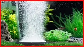 hygger Aquarium Air Stone, Bubble Stone Fish Tank Oxygen Stone Ultra Silent Deep Dissolving Oxygen
