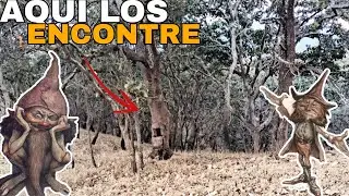 CASA DONDE HAY DUENDES LOS ENCONTR&Eacute; EN MEDIO DEL BOSQUE DETECTANDO ‼️🏺🪙⛏️