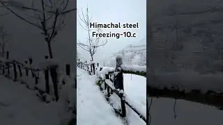 Himachal Pradesh Today ❄️ Freezing Morning After Snowfall | #shorts #snow #travel