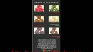 Wholesale Buttons  boutique hub