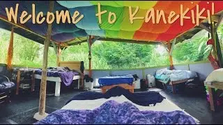 Kanekiki Fruit Farm Adventures