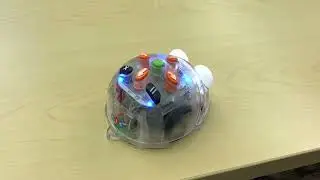 Bee Bot Tutorial