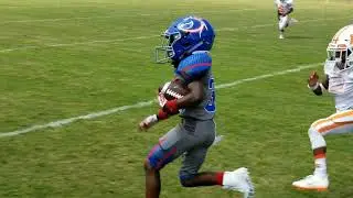 Thoro vs north Henry white