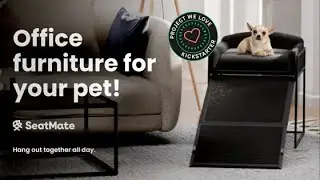 SeatMate: Pet Office Furniture with an Easy Access Ramp