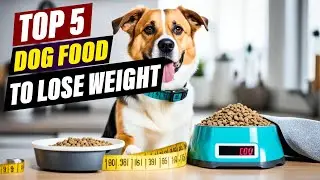 Top 5 Dog Foods for Weight Management: Reviews & Comparisons