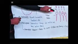 Spermatogenesis, Structure Of Sperm, Hormonal Control, Second Year Bio Lec-2 KPK Text Book Unit 7 Re