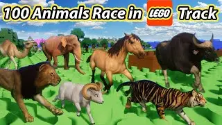 Animals Race in Planet Zoo All Special Episodes, Included Lion, Elephant, Giraffe Miaw Live Stream19